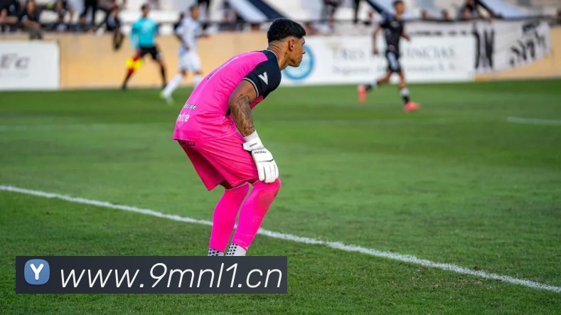 乐鱼官方网站在线登录入口网页发展历程